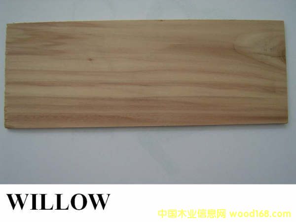 ������ľW(w��ng)illow��Ԕ��(x��)��B