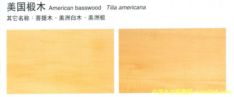 �����ľBasswood��Ԕ��(x��)��B