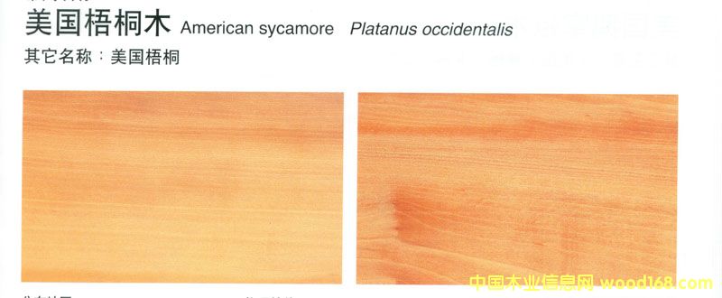 ������ͩSycamore2��Ԕ��(x��)��B