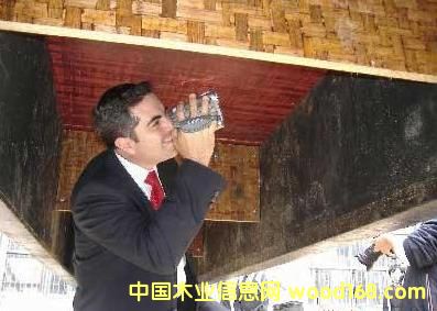 ����(y��ng)ӆ�����NҎ(gu��)��Ę������z���Ԕ��(x��)��B