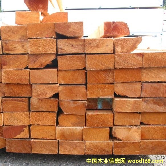 �Fɼ��Ԕ��(x��)��B