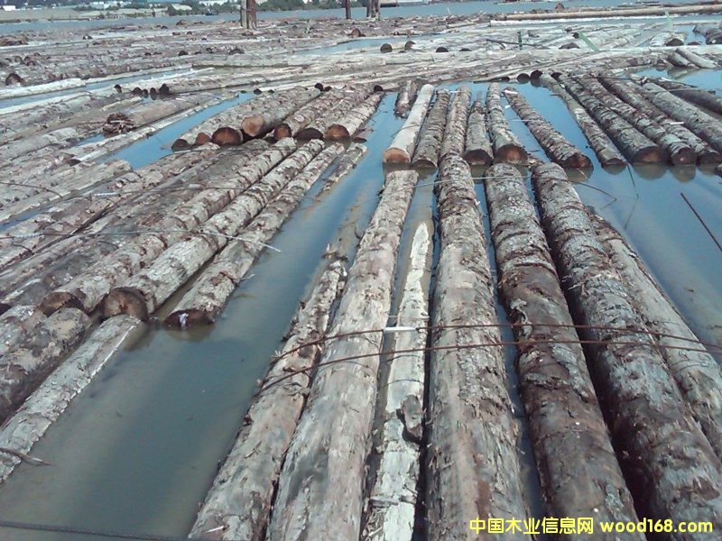 ���ô�����