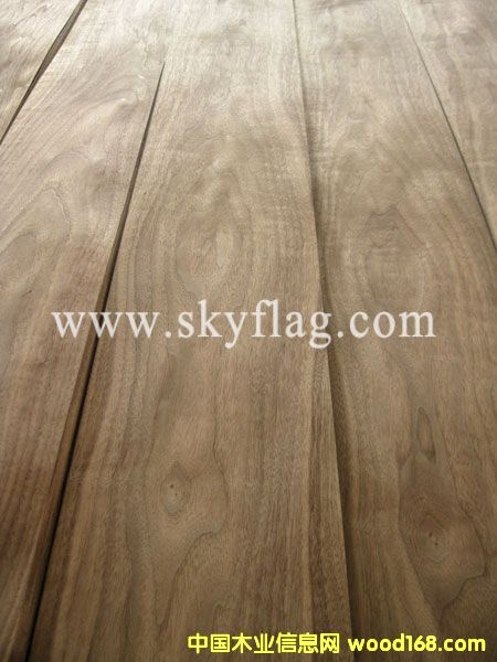 AAA�ں���ľƤ �{�����