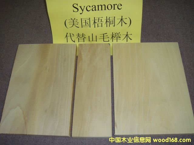 FSC��ͩľ��SYCAMORE����
