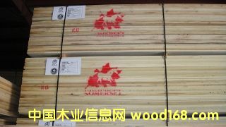 FAS Poplar��Ԕ��(x��)��B