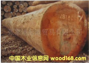 ������Ьľ �F�_ľԭľ ��� 