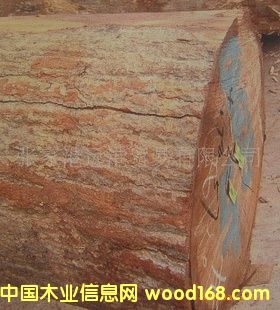 ����(y��ng)ľ����ԭľ ��� ľ�� LIT