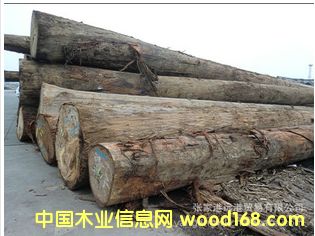 ����(y��ng)����ľ ���ǹ�ԭľ ��� ľ�� 