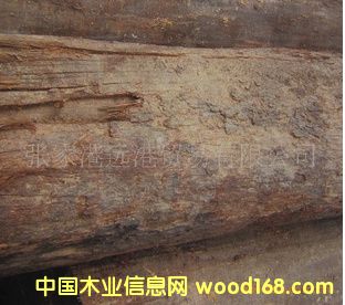 ���Ҹ��h��ľ�I(y��) ����������Ьľ �F�_ľԭľ ���