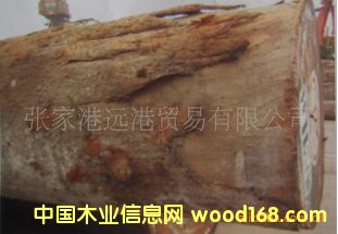 С���Rԭľ ���