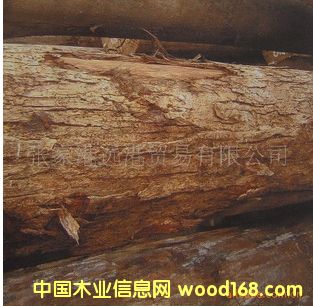 ����(y��ng)�Ĕ�(sh��)ľ �S�|��ԭľ ľ�� ���aTEM