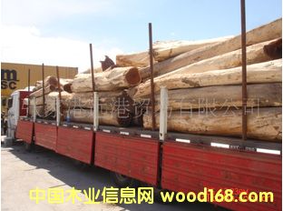 ����(y��ng)��ρľ ��ؐ