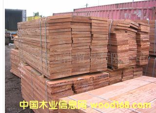 ����(y��ng)�����Kľ �ͻ� ����������