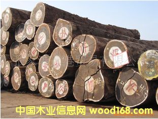 �t���� ������̴ԭľ ��� ľ��