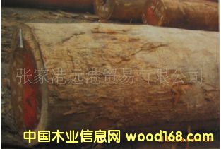 ����� ��� ���zԭľ ��� ľ��