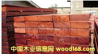 ���������̴ �t������ ����