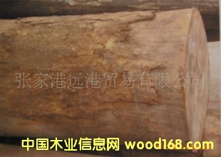 ���Ҹ��h��ľ�I(y��) ����ܛ�½� �W��ԭľ ��� ľ��