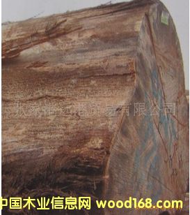 ����(y��ng)���O��ԭľ ��� ľ�� OWT