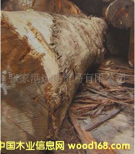 ����(y��ng)��Ƥ��ԭľ ��� ľ�� KAM