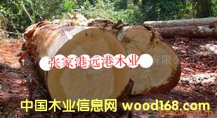 ���Ƚzԭľ ��� ľ��