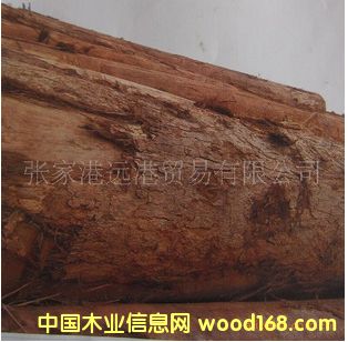 ����(y��ng)�˹�ľ ���|��ԭľ ľ�� ���aERI/BIN