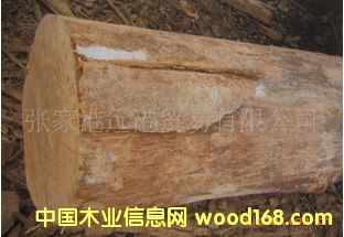 ����(y��ng)�S�~ľ �����S��ľԭľ��BOW / XA / NLIN��