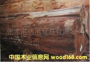 ����(y��ng)�z��� �t���� ��ľԭľ ��� RGAS/ HEK