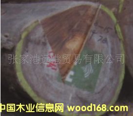 ِ��� ��̴ԭľ ��� ľ��