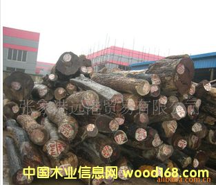 С�~�t̴ �t�Fľ��ԭľ ���