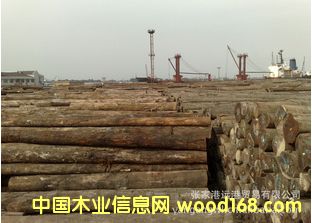 ����(y��ng)���Ѳ���ɽ�� ���_��ԭľ ��� BUR / BK