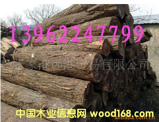 ����(y��ng)�t�F�� ������֦ԭľ ��� ľ��