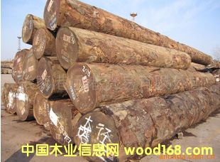 ��ľ ���� ���޲��}��ԭľ ��� ľ�� 