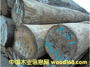 ����(y��ng)�����m ԭľ ľ�� ���aAGL