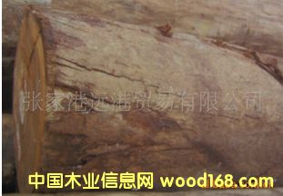 ���϶��w�� �Sõ��ԭľ ��� 