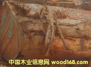 ����(y��ng)�Ͳ�����ľ ����ľԭľ ��� 