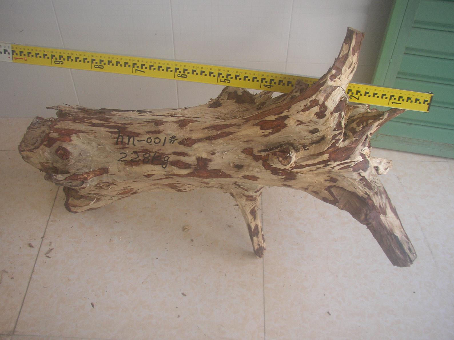 �����S����hn-01̖��Ԕ����B