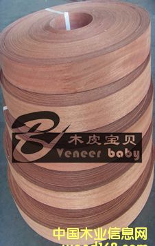 ɳ����ľƤ��߅�l��Ԕ����B