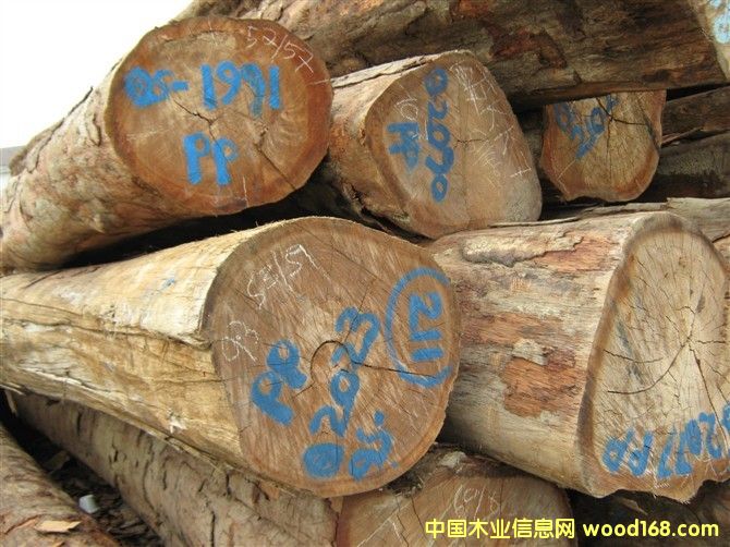 ��ľ��Ԕ����B