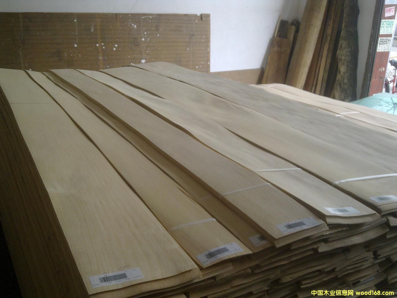 ��˨ľƤ��Ԕ��(x��)��B