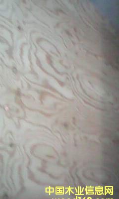 ��ľ��ĵ�Ԕ����B