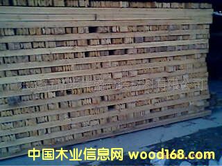 ����(y��ng)ɼľ�sľľ�巽�l��Ԕ��(x��)��B