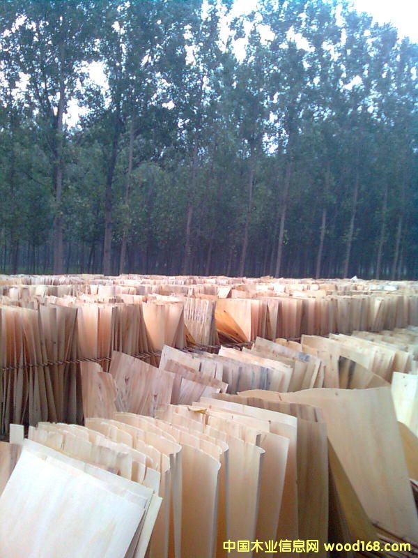 ��ľ�ΰ��Ԕ��(x��)��B