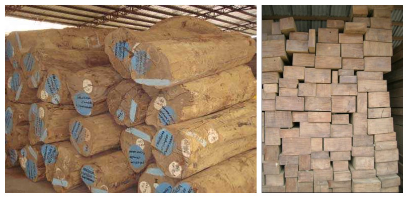 ������ľ��Ԕ��(x��)��B