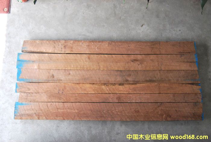 �ں��Ҷ���(j��)��Ԕ��(x��)��B