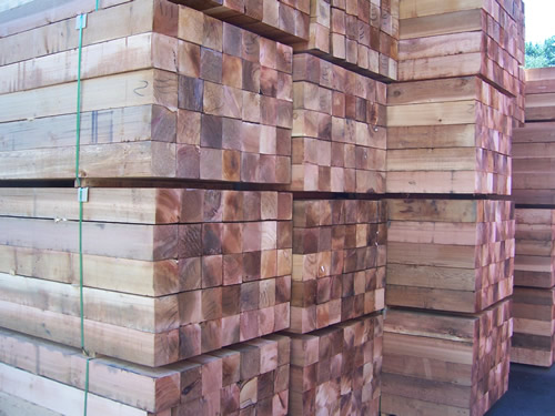 �tѩ��2��Ԕ��(x��)��B