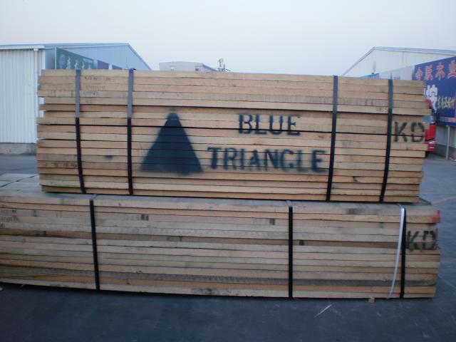 5.08������һ��(j��)��(j��)�{(l��n)���Ǽt��-������Ԕ��(x��)��B