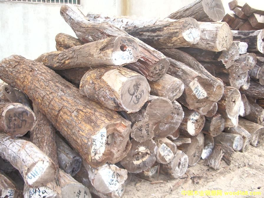 С�~�t̴��Ԕ��(x��)��B