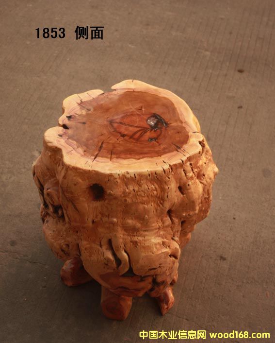 ��_���� ��ľ����