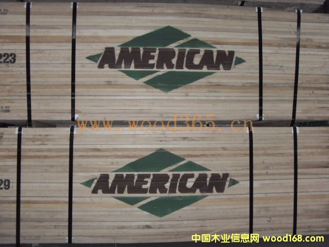 AMERICAN��Ԕ����B