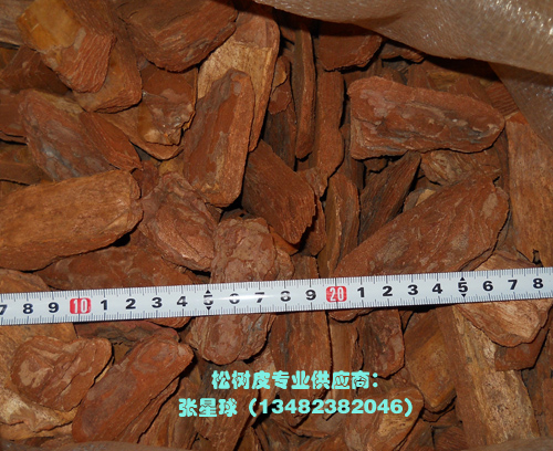 �c(di��n)���鿴�ɘ�Ƥ���^�ر����w��ĥ�ͷŴ�DƬ